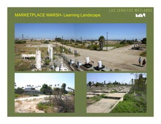 MARKETPLACE MARSH- Learning Landscape
 