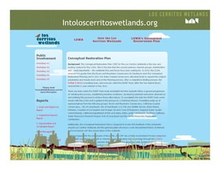 Intoloscerritoswetlands.org
 