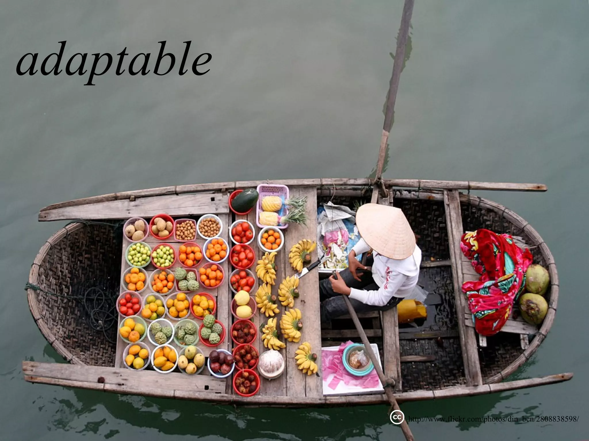 adaptable




            http://www.flickr.com/photos/din_bcn/2808838598/
 