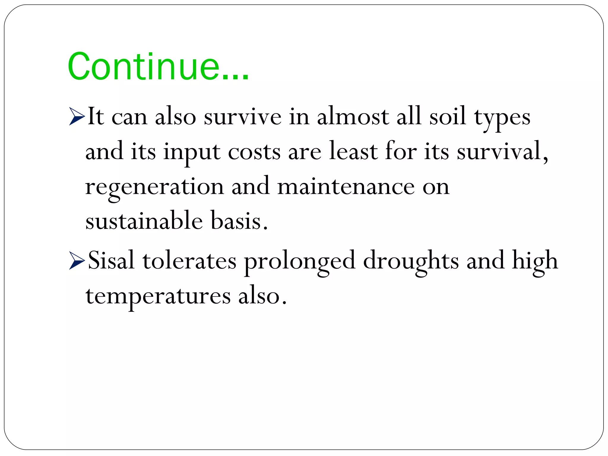 Continue… It can also survive in almost all soil types and its input costs are least for its survival, regeneration and maintenance on sustainable basis.  Sisal tolerates prolonged droughts and high temperatures also. 