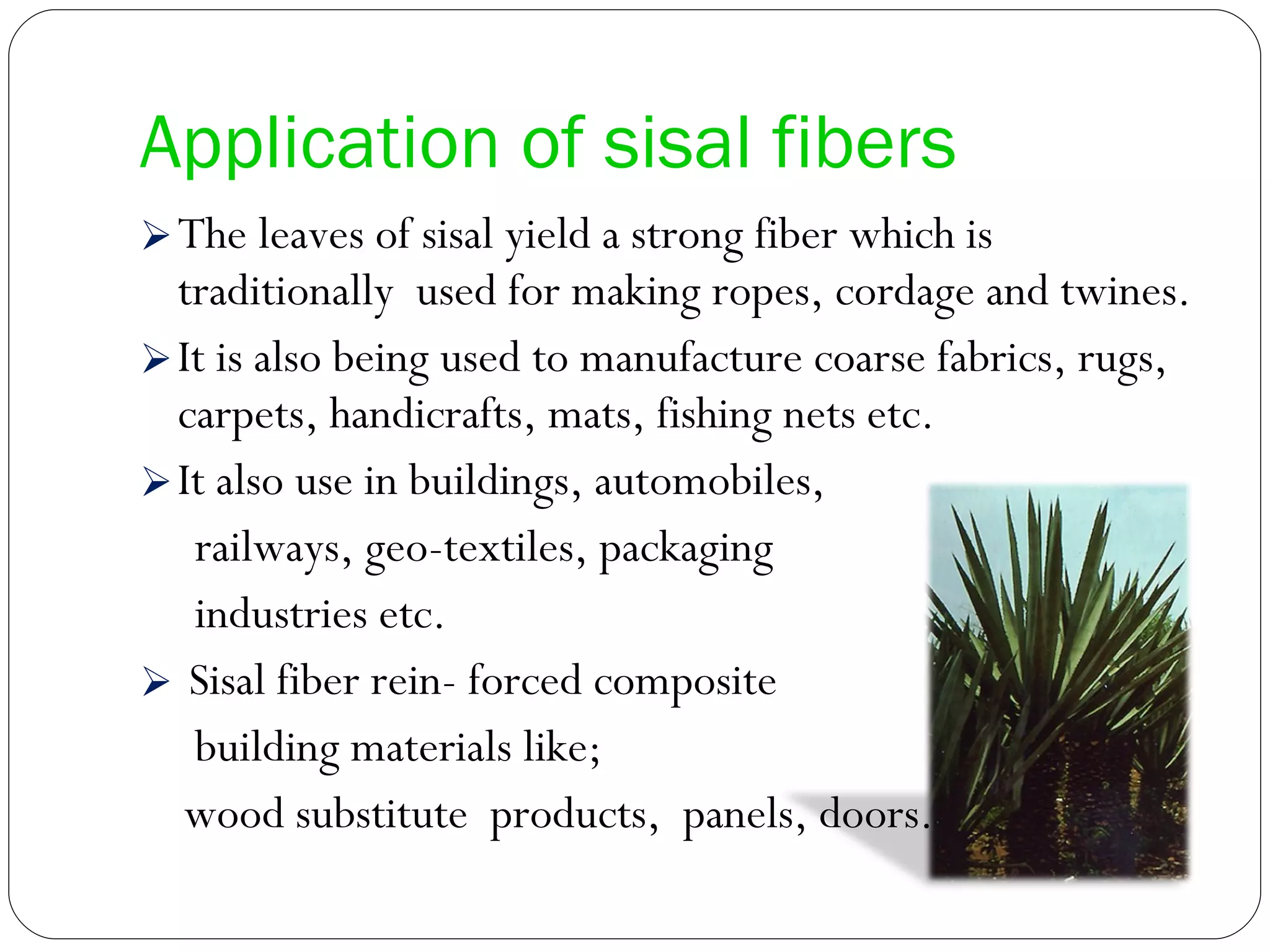 Application of sisal fibers The leaves of sisal yield a strong fiber which is traditionally  used for making ropes, cordage and twines.  It is also being used to manufacture coarse fabrics, rugs, carpets, handicrafts, mats, fishing nets etc.  It also use in buildings, automobiles, railways, geo-textiles, packaging industries etc.  Sisal fiber rein- forced composite building materials like;  wood substitute  products,  panels, doors. 
