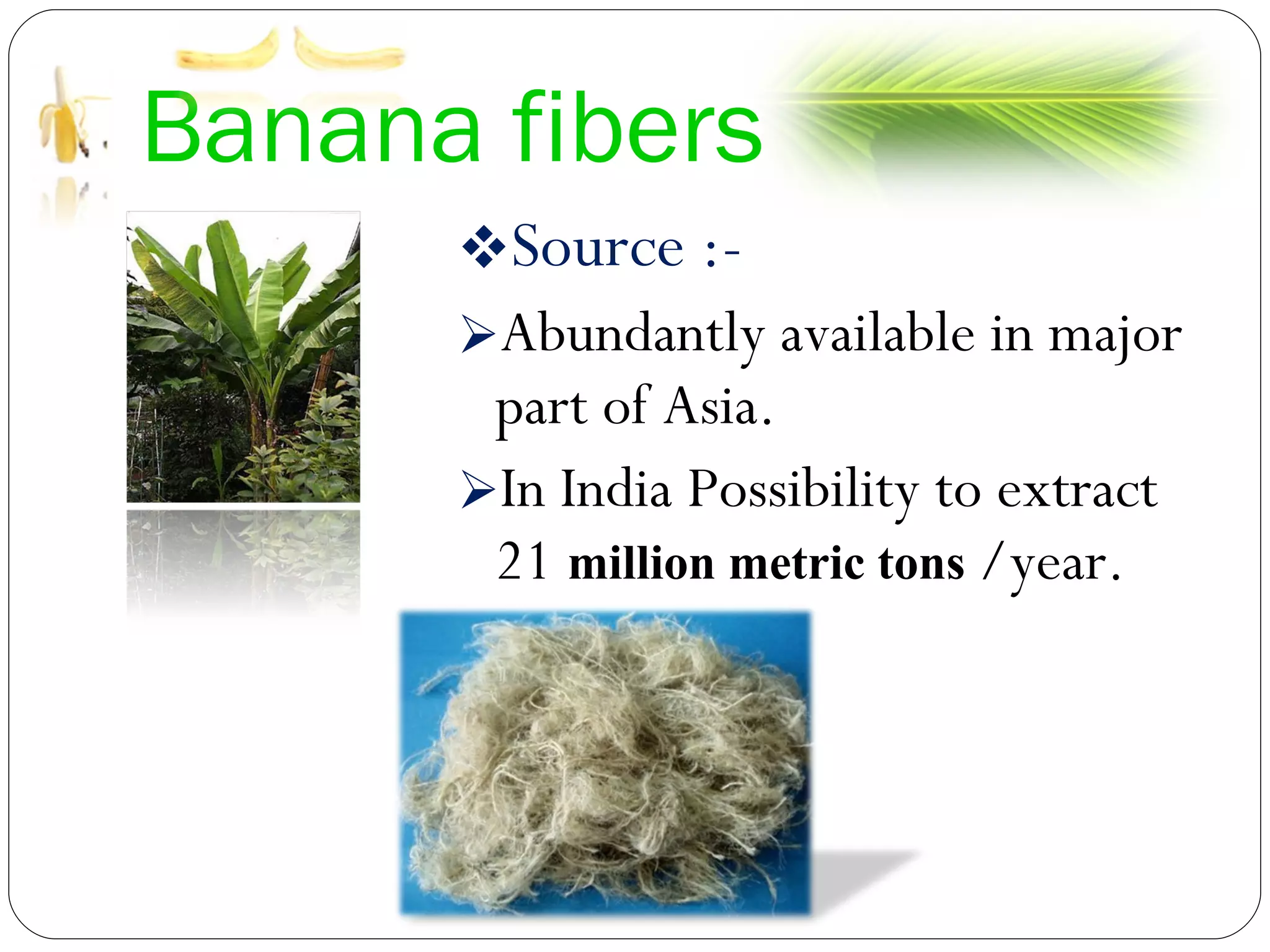 Banana fibers Source :- Abundantly available in major part of Asia. In India Possibility to extract 21  million metric tons  /year. 