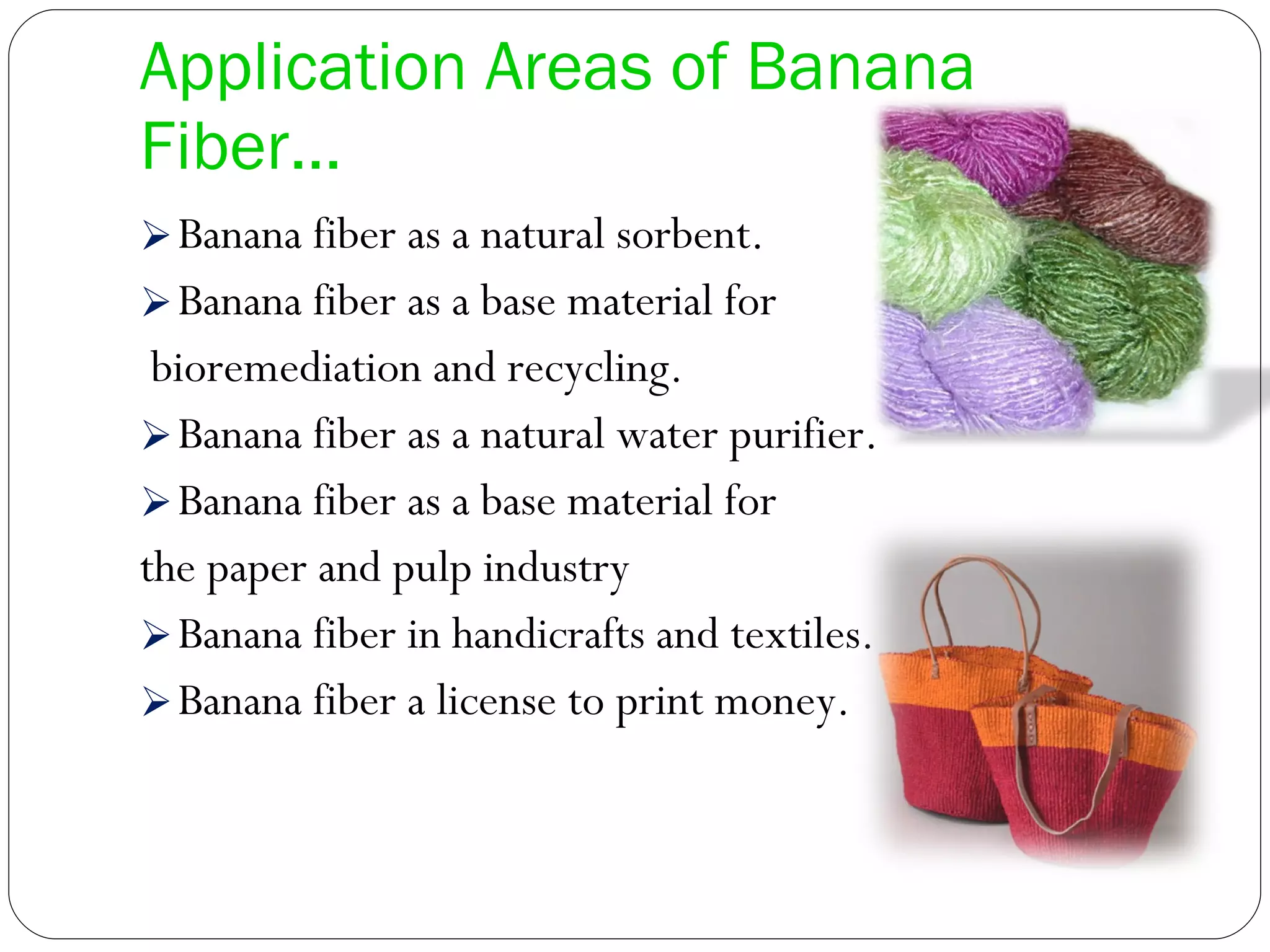 Application Areas of Banana Fiber… Banana fiber as a natural sorbent. Banana fiber as a base material for bioremediation and recycling. Banana fiber as a natural water purifier. Banana fiber as a base material for the paper and pulp industry Banana fiber in handicrafts and textiles. Banana fiber a license to print money. 