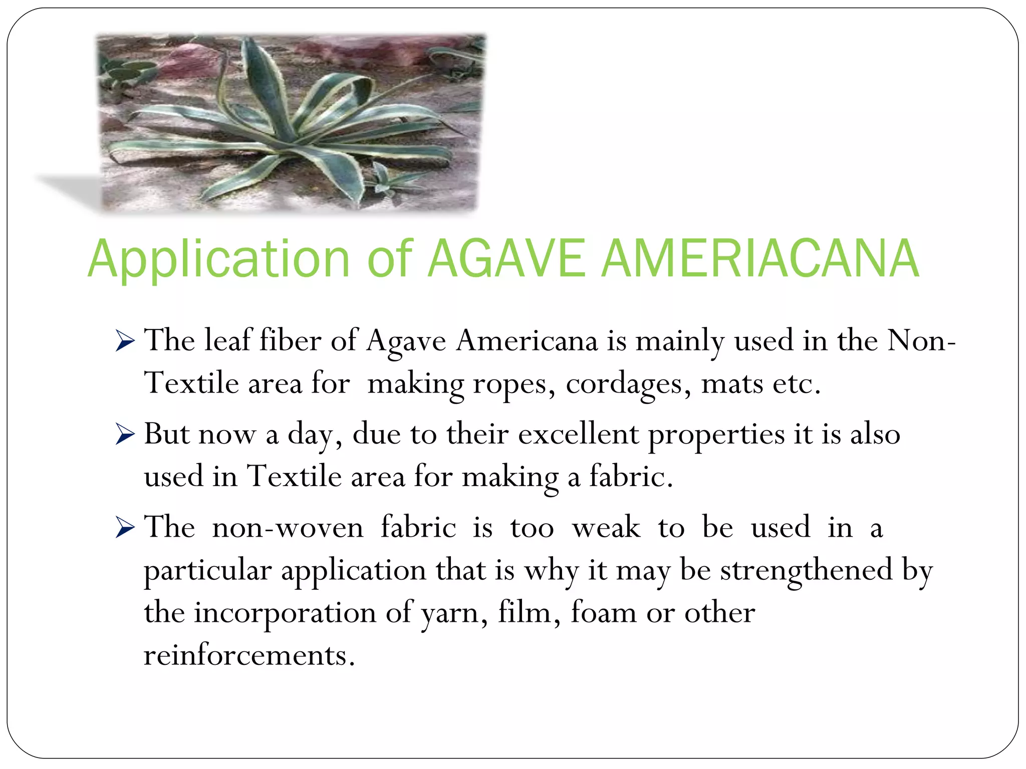 Application of AGAVE AMERIACANA The leaf fiber of Agave Americana is mainly used in the Non-Textile area for  making ropes, cordages, mats etc. But now a day, due to their excellent properties it is also used in Textile area for making a fabric. The  non-woven  fabric  is  too  weak  to  be  used  in  a  particular application that is why it may be strengthened by the incorporation of yarn, film, foam or other reinforcements. 
