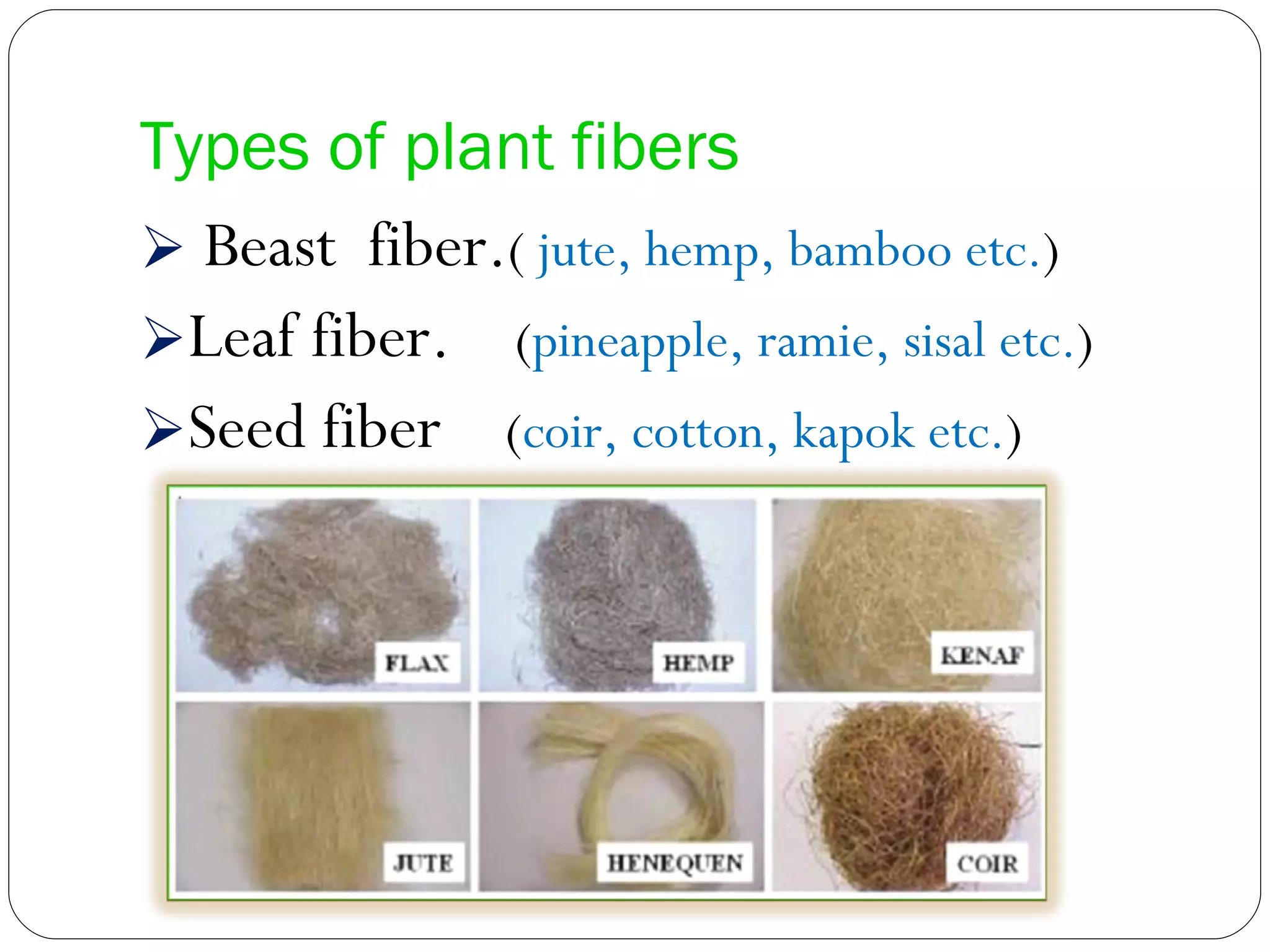 Types of plant fibers Beast  fiber. (  jute, hemp, bamboo etc. ) Leaf fiber.  ( pineapple, ramie, sisal etc. ) Seed fiber  ( coir, cotton, kapok etc. ) 