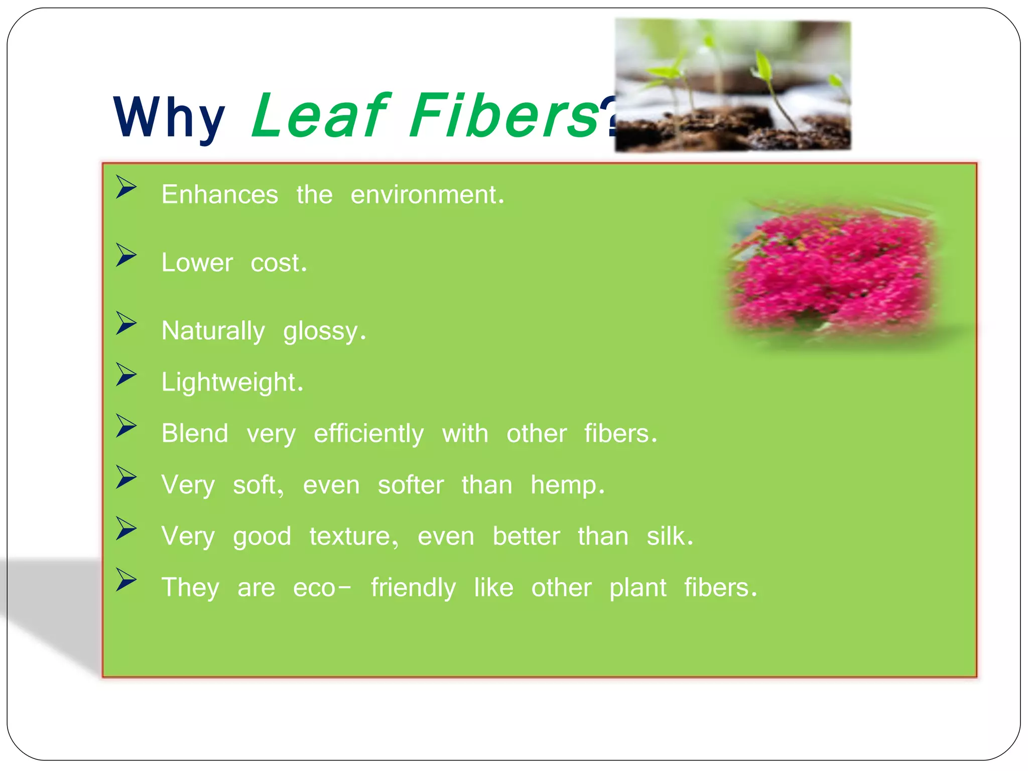Why  Leaf Fibers ? Enhances the environment. Lower cost. Naturally glossy. Lightweight. Blend very efficiently with other fibers. Very soft, even softer than hemp. Very good texture, even better than silk. They are eco- friendly like other plant fibers. 