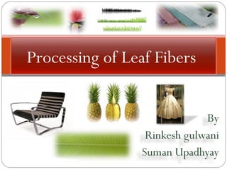 Processing of Leaf Fibers  