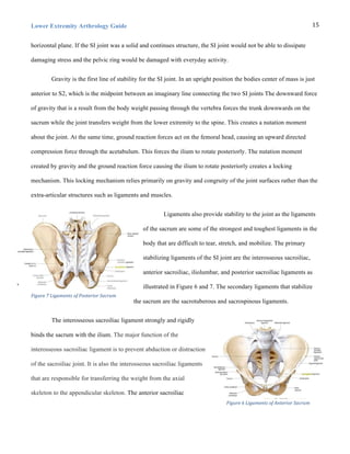 Lower Extremity Arthrology Guide 15	
  
horizontal plane. If the SI joint was a solid and continues structure, the SI joint would not be able to dissipate
damaging stress and the pelvic ring would be damaged with everyday activity.
Gravity is the first line of stability for the SI joint. In an upright position the bodies center of mass is just
anterior to S2, which is the midpoint between an imaginary line connecting the two SI joints The downward force
of gravity that is a result from the body weight passing through the vertebra forces the trunk downwards on the
sacrum while the joint transfers weight from the lower extremity to the spine. This creates a nutation moment
about the joint. At the same time, ground reaction forces act on the femoral head, causing an upward directed
compression force through the acetabulum. This forces the ilium to rotate posteriorly. The nutation moment
created by gravity and the ground reaction force causing the ilium to rotate posteriorly creates a locking
mechanism. This locking mechanism relies primarily on gravity and congruity of the joint surfaces rather than the
extra-articular structures such as ligaments and muscles.
Ligaments also provide stability to the joint as the ligaments
of the sacrum are some of the strongest and toughest ligaments in the
body that are difficult to tear, stretch, and mobilize. The primary
stabilizing ligaments of the SI joint are the interosseous sacroiliac,
anterior sacroiliac, iliolumbar, and posterior sacroiliac ligaments as
illustrated in Figure 6 and 7. The secondary ligaments that stabilize
the sacrum are the sacrotuberous and sacrospinous ligaments.
The interosseous sacroiliac ligament strongly and rigidly
binds the sacrum with the ilium. The major function of the
interosseous sacroiliac ligament is to prevent abduction or distraction
of the sacroiliac joint. It is also the interosseous sacroiliac ligaments
that are responsible for transferring the weight from the axial
skeleton to the appendicular skeleton. The anterior sacroiliac
Figure	
  7	
  Ligaments	
  of	
  Posterior	
  Sacrum
Figure	
  6	
  Ligaments	
  of	
  Anterior	
  Sacrum
 
