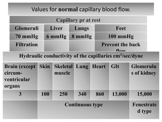 Normal Capillary Final lect 75 microcirculation 2020 | PDF