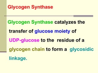 Glycogen Synthase
Glycogen Synthase catalyzes the
transfer of glucose moiety of
UDP-glucose to the residue of a
glycogen chain to form a glycosidic
linkage.
 