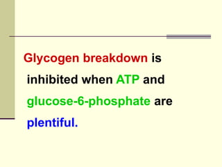 Glycogen breakdown is
inhibited when ATP and
glucose-6-phosphate are
plentiful.
 