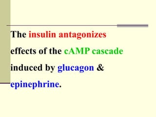 The insulin antagonizes
effects of the cAMP cascade
induced by glucagon &
epinephrine.
 