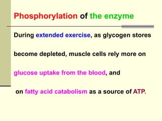 Phosphorylation of the enzyme
During extended exercise, as glycogen stores
become depleted, muscle cells rely more on
glucose uptake from the blood, and
on fatty acid catabolism as a source of ATP.
 
