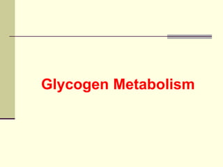 Glycogen Metabolism
 