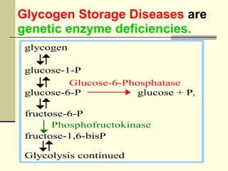 Glycogen Storage Diseases are
genetic enzyme deficiencies.
glycogen
glucose-1-P
Glucose-6-Phosphatase
glucose-6-P glucose + Pi
fructose-6-P
Phosphofructokinase
fructose-1,6-bisP
Glycolysis continued
 