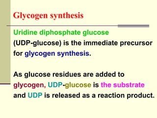 Uridine diphosphate glucose
(UDP-glucose) is the immediate precursor
for glycogen synthesis.
As glucose residues are added to
glycogen, UDP-glucose is the substrate
and UDP is released as a reaction product.
Glycogen synthesis
 