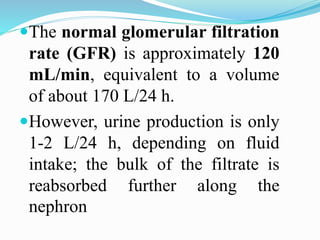 The normal glomerular filtration
rate (GFR) is approximately 120
mL/min, equivalent to a volume
of about 170 L/24 h.
However, urine production is only
1-2 L/24 h, depending on fluid
intake; the bulk of the filtrate is
reabsorbed further along the
nephron
 