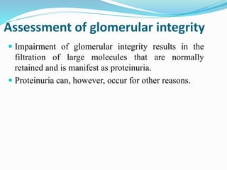 Assessment of glomerular integrity
 Impairment of glomerular integrity results in the
filtration of large molecules that are normally
retained and is manifest as proteinuria.
 Proteinuria can, however, occur for other reasons.
 
