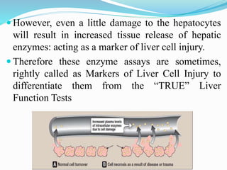 However, even a little damage to the hepatocytes
will result in increased tissue release of hepatic
enzymes: acting as a marker of liver cell injury.
 Therefore these enzyme assays are sometimes,
rightly called as Markers of Liver Cell Injury to
differentiate them from the “TRUE” Liver
Function Tests
 