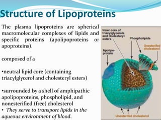 Structure of Lipoproteins
The plasma lipoproteins are spherical
macromolecular complexes of lipids and
specific proteins (apolipoproteins or
apoproteins).
composed of a
•neutral lipid core (containing
triacylglycerol and cholesteryl esters)
•surrounded by a shell of amphipathic
apolipoproteins, phospholipid, and
nonesterified (free) cholesterol
• They serve to transport lipids in the
aqueous environment of blood.
 