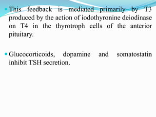  This feedback is mediated primarily by T3
produced by the action of iodothyronine deiodinase
on T4 in the thyrotroph cells of the anterior
pituitary.
 Glucocorticoids, dopamine and somatostatin
inhibit TSH secretion.
 