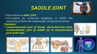 Comprehensive Overview of Joint Types and Their Classifications in ...