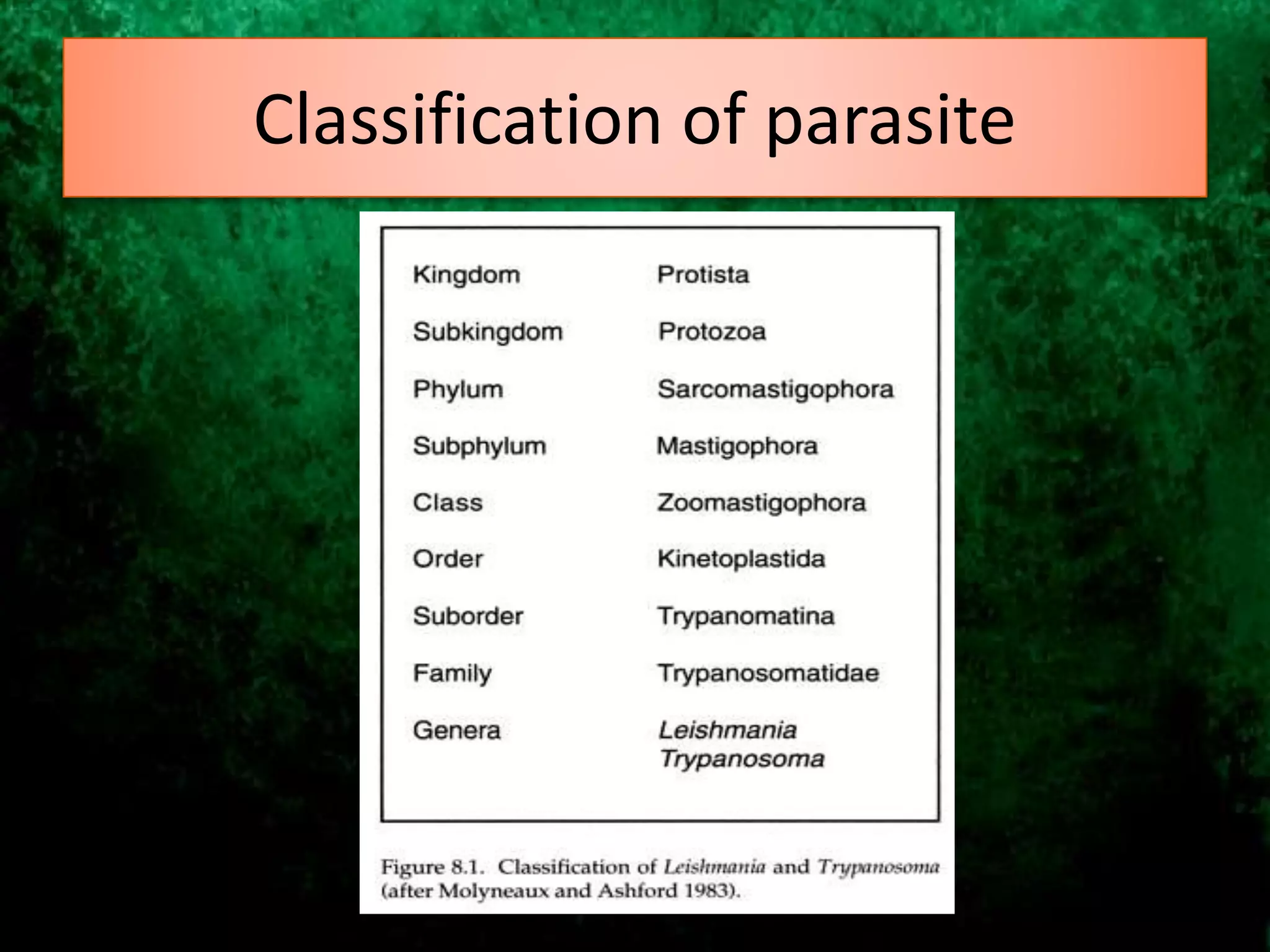 Classification of parasite
 