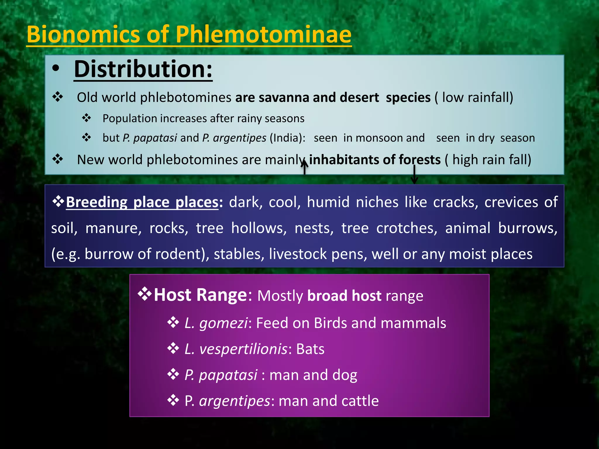 Bionomics of Phlemotominae
• Distribution:
 Old world phlebotomines are savanna and desert species ( low rainfall)
 Population increases after rainy seasons
 but P. papatasi and P. argentipes (India): seen in monsoon and seen in dry season
 New world phlebotomines are mainly inhabitants of forests ( high rain fall)
Breeding place places: dark, cool, humid niches like cracks, crevices of
soil, manure, rocks, tree hollows, nests, tree crotches, animal burrows,
(e.g. burrow of rodent), stables, livestock pens, well or any moist places
Host Range: Mostly broad host range
 L. gomezi: Feed on Birds and mammals
 L. vespertilionis: Bats
 P. papatasi : man and dog
 P. argentipes: man and cattle
 
