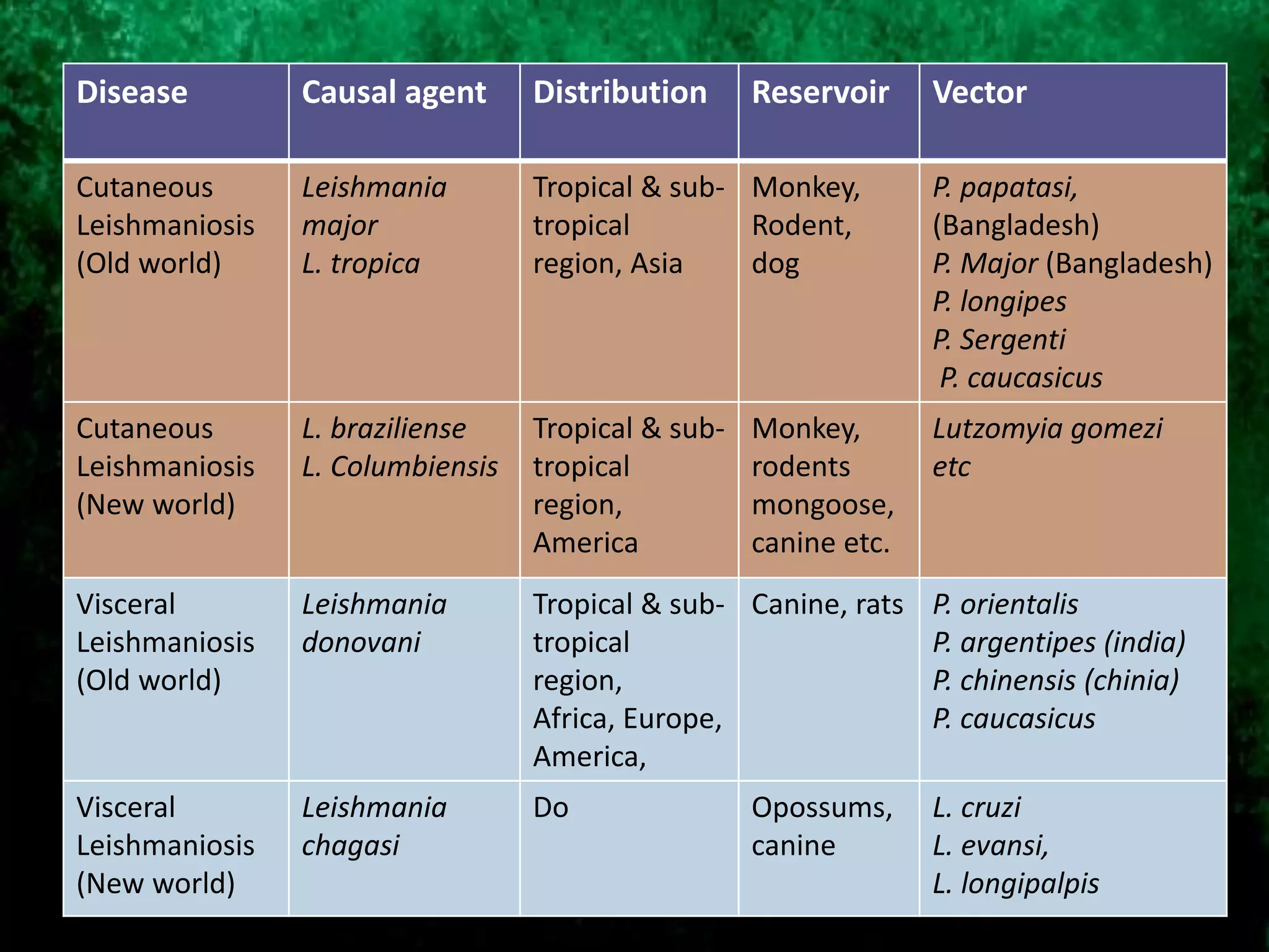Disease Causal agent Distribution Reservoir Vector
Cutaneous
Leishmaniosis
(Old world)
Leishmania
major
L. tropica
Tropical & sub-
tropical
region, Asia
Monkey,
Rodent,
dog
P. papatasi,
(Bangladesh)
P. Major (Bangladesh)
P. longipes
P. Sergenti
P. caucasicus
Cutaneous
Leishmaniosis
(New world)
L. braziliense
L. Columbiensis
Tropical & sub-
tropical
region,
America
Monkey,
rodents
mongoose,
canine etc.
Lutzomyia gomezi
etc
Visceral
Leishmaniosis
(Old world)
Leishmania
donovani
Tropical & sub-
tropical
region,
Africa, Europe,
America,
Canine, rats P. orientalis
P. argentipes (india)
P. chinensis (chinia)
P. caucasicus
Visceral
Leishmaniosis
(New world)
Leishmania
chagasi
Do Opossums,
canine
L. cruzi
L. evansi,
L. longipalpis
 