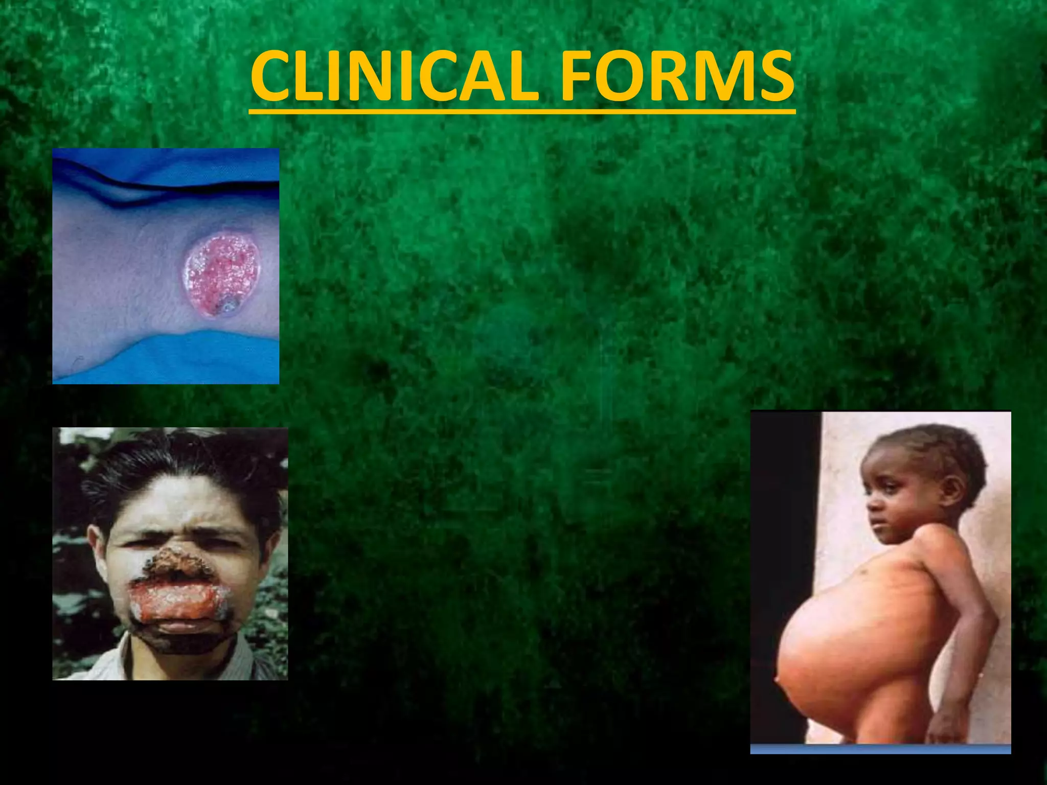 CLINICAL FORMS
 