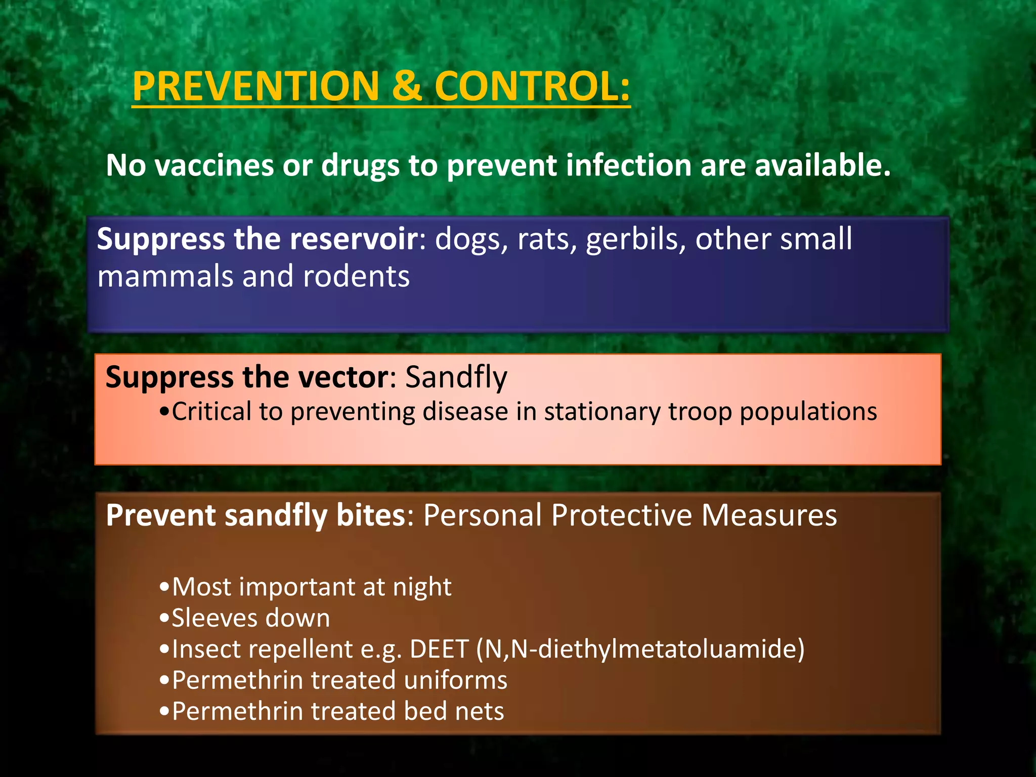 PREVENTION & CONTROL:
Suppress the reservoir: dogs, rats, gerbils, other small
mammals and rodents
Suppress the vector: Sandfly
•Critical to preventing disease in stationary troop populations
Prevent sandfly bites: Personal Protective Measures
•Most important at night
•Sleeves down
•Insect repellent e.g. DEET (N,N-diethylmetatoluamide)
•Permethrin treated uniforms
•Permethrin treated bed nets
No vaccines or drugs to prevent infection are available.
 