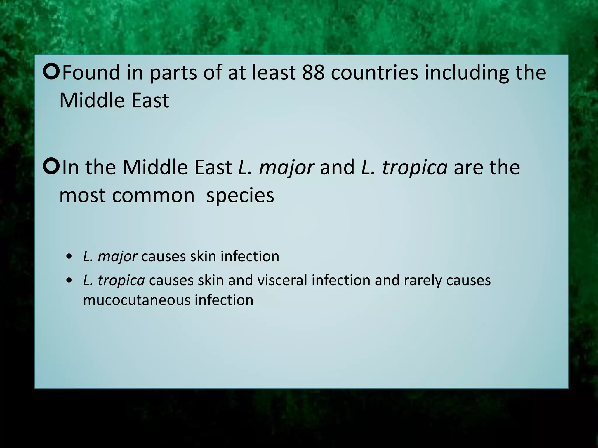 Found in parts of at least 88 countries including the
Middle East
In the Middle East L. major and L. tropica are the
most common species
• L. major causes skin infection
• L. tropica causes skin and visceral infection and rarely causes
mucocutaneous infection
 