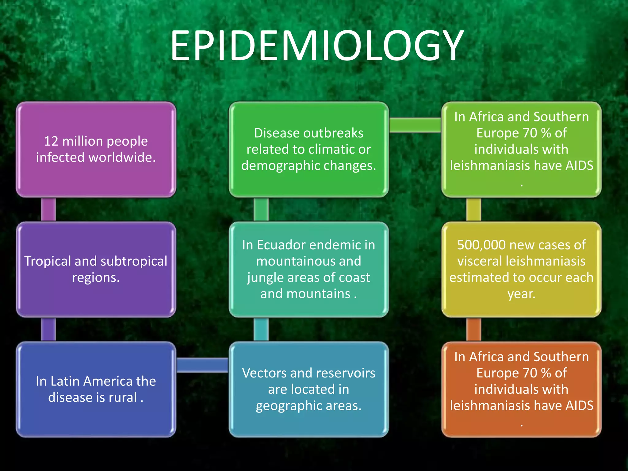 12 million people
infected worldwide.
Tropical and subtropical
regions.
In Latin America the
disease is rural .
Vectors and reservoirs
are located in
geographic areas.
In Ecuador endemic in
mountainous and
jungle areas of coast
and mountains .
Disease outbreaks
related to climatic or
demographic changes.
In Africa and Southern
Europe 70 % of
individuals with
leishmaniasis have AIDS
.
500,000 new cases of
visceral leishmaniasis
estimated to occur each
year.
In Africa and Southern
Europe 70 % of
individuals with
leishmaniasis have AIDS
.
EPIDEMIOLOGY
 