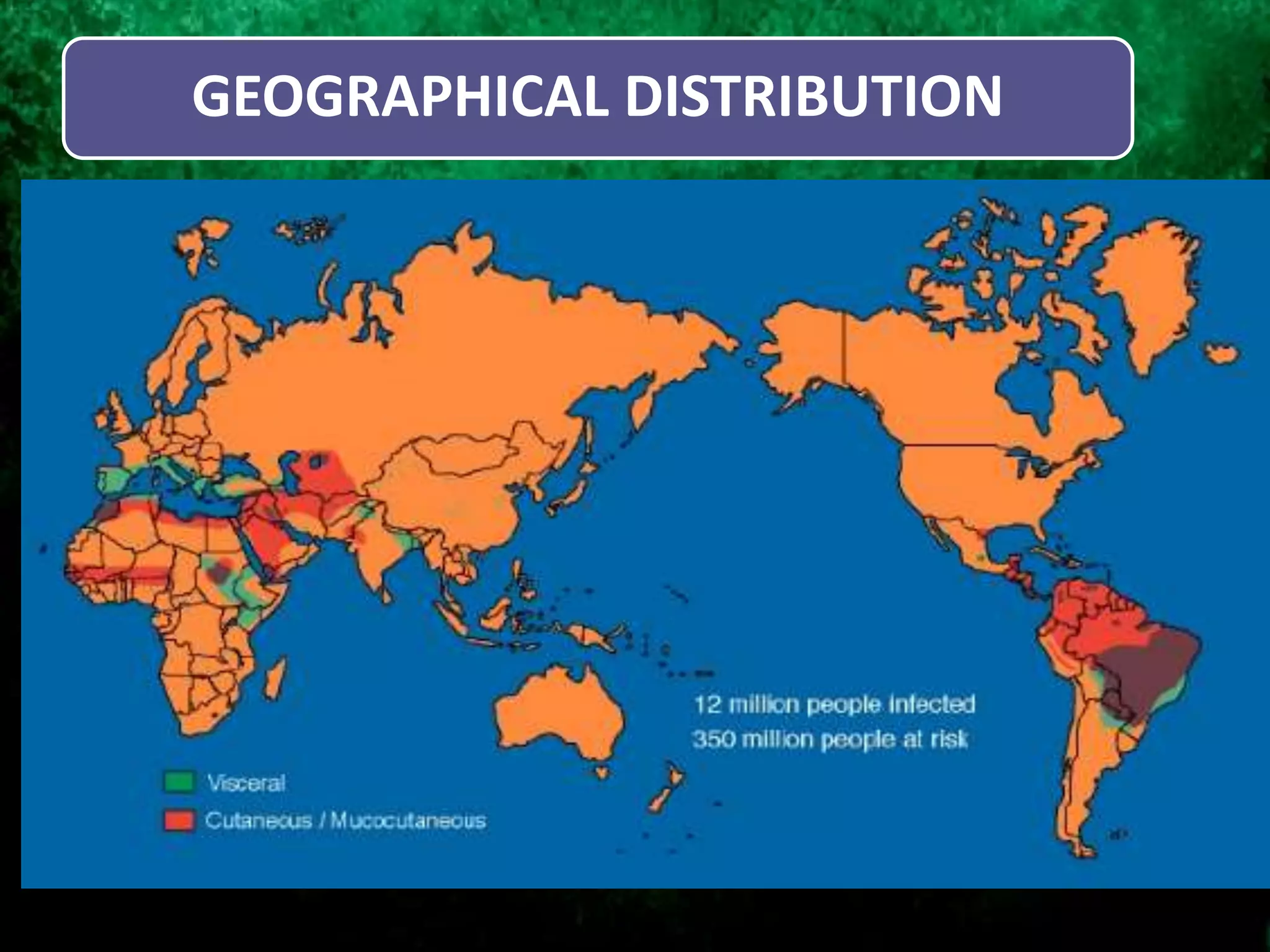 GEOGRAPHICAL DISTRIBUTION
 