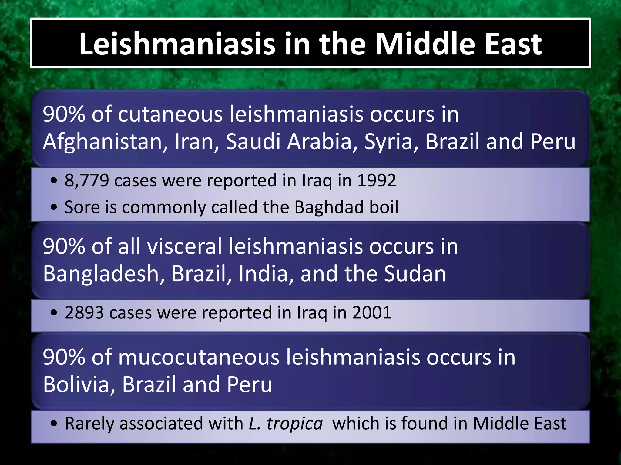Leishmaniasis in the Middle East
90% of cutaneous leishmaniasis occurs in
Afghanistan, Iran, Saudi Arabia, Syria, Brazil and Peru
• 8,779 cases were reported in Iraq in 1992
• Sore is commonly called the Baghdad boil
90% of all visceral leishmaniasis occurs in
Bangladesh, Brazil, India, and the Sudan
• 2893 cases were reported in Iraq in 2001
90% of mucocutaneous leishmaniasis occurs in
Bolivia, Brazil and Peru
• Rarely associated with L. tropica which is found in Middle East
 