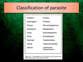 Classification of parasite
 