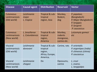 Disease Causal agent Distribution Reservoir Vector
Cutaneous
Leishmaniosis
(Old world)
Leishmania
major
L. tropica
Tropical & sub-
tropical
region, Asia
Monkey,
Rodent,
dog
P. papatasi,
(Bangladesh)
P. Major (Bangladesh)
P. longipes
P. Sergenti
P. caucasicus
Cutaneous
Leishmaniosis
(New world)
L. braziliense
L. Columbiensis
Tropical & sub-
tropical
region,
America
Monkey,
rodents
mongoose,
canine etc.
Lutzomyia gomezi
etc
Visceral
Leishmaniosis
(Old world)
Leishmania
donovani
Tropical & sub-
tropical
region,
Africa, Europe,
America,
Canine, rats P. orientalis
P. argentipes (india)
P. chinensis (chinia)
P. caucasicus
Visceral
Leishmaniosis
(New world)
Leishmania
chagasi
Do Opossums,
canine
L. cruzi
L. evansi,
L. longipalpis
 