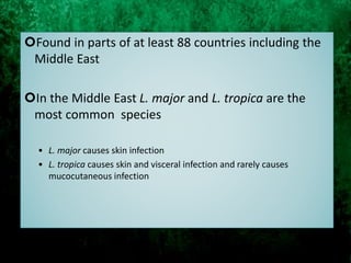 Found in parts of at least 88 countries including the
Middle East
In the Middle East L. major and L. tropica are the
most common species
• L. major causes skin infection
• L. tropica causes skin and visceral infection and rarely causes
mucocutaneous infection
 