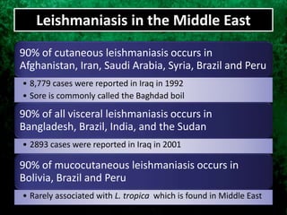 Leishmaniasis in the Middle East
90% of cutaneous leishmaniasis occurs in
Afghanistan, Iran, Saudi Arabia, Syria, Brazil and Peru
• 8,779 cases were reported in Iraq in 1992
• Sore is commonly called the Baghdad boil
90% of all visceral leishmaniasis occurs in
Bangladesh, Brazil, India, and the Sudan
• 2893 cases were reported in Iraq in 2001
90% of mucocutaneous leishmaniasis occurs in
Bolivia, Brazil and Peru
• Rarely associated with L. tropica which is found in Middle East
 