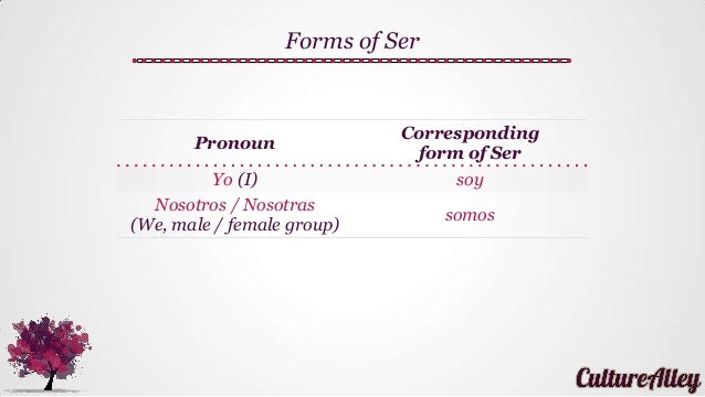 forms of ser