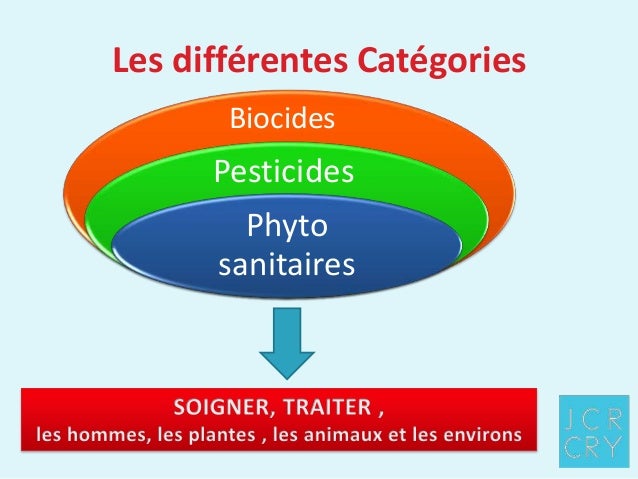 Lexposé sur les champignons les parasites