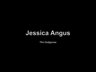 Jessica Angus The Hedgerow   