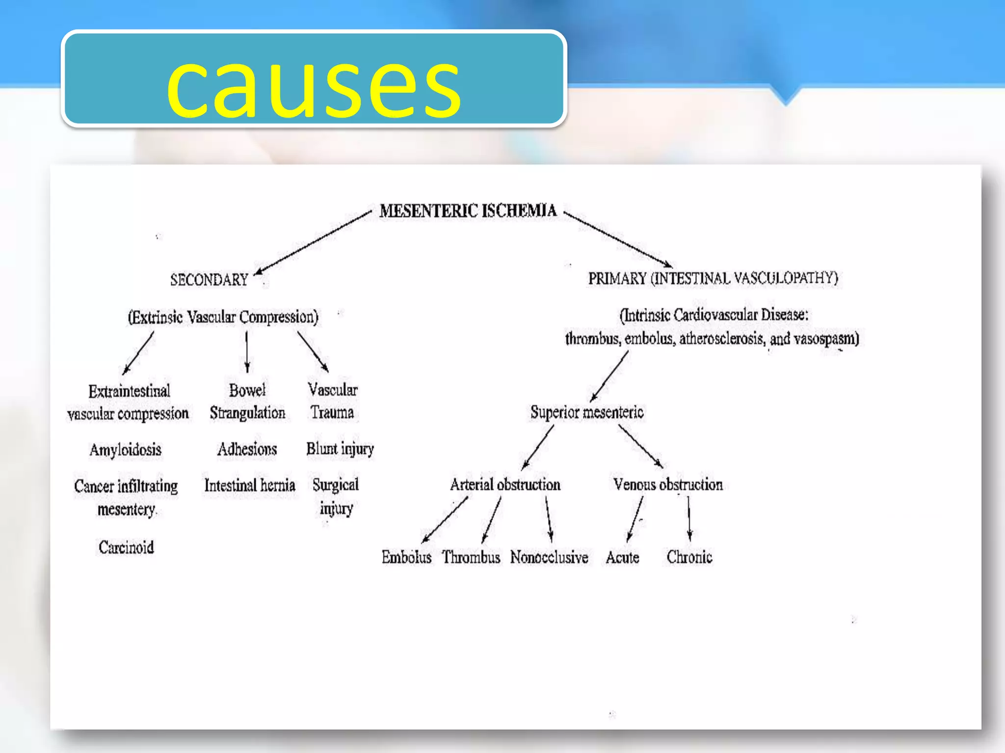 causes
 