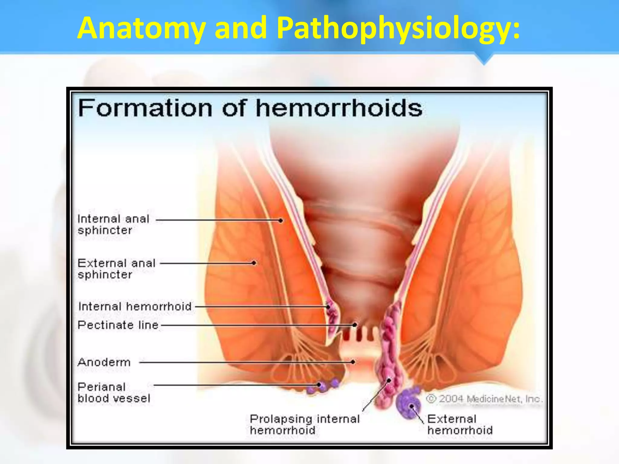 Anatomy and Pathophysiology:
 