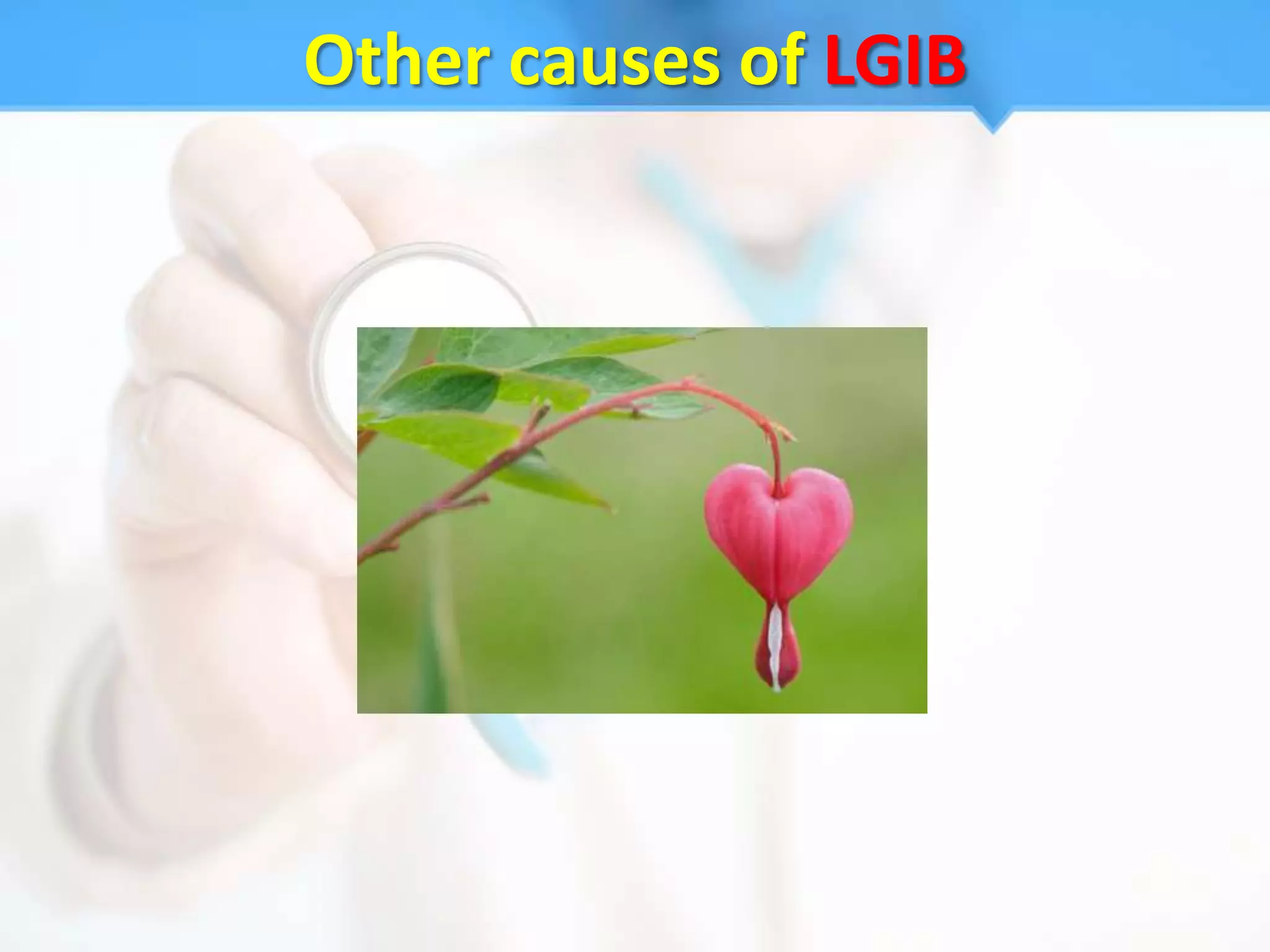 Other causes of LGIB
 