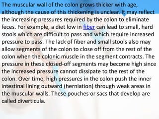 The muscular wall of the colon grows thicker with age,
although the cause of this thickening is unclear. It may reflect
the increasing pressures required by the colon to eliminate
feces. For example, a diet low in fiber can lead to small, hard
stools which are difficult to pass and which require increased
pressure to pass. The lack of fiber and small stools also may
allow segments of the colon to close off from the rest of the
colon when the colonic muscle in the segment contracts. The
pressure in these closed-off segments may become high since
the increased pressure cannot dissipate to the rest of the
colon. Over time, high pressures in the colon push the inner
intestinal lining outward (herniation) through weak areas in
the muscular walls. These pouches or sacs that develop are
called diverticula.
 