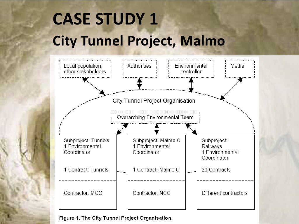 Project Procurement Principles and Case Study