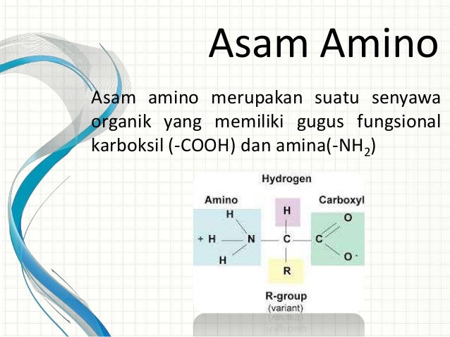 Kimia Pangan Protein Universitas Pasundan