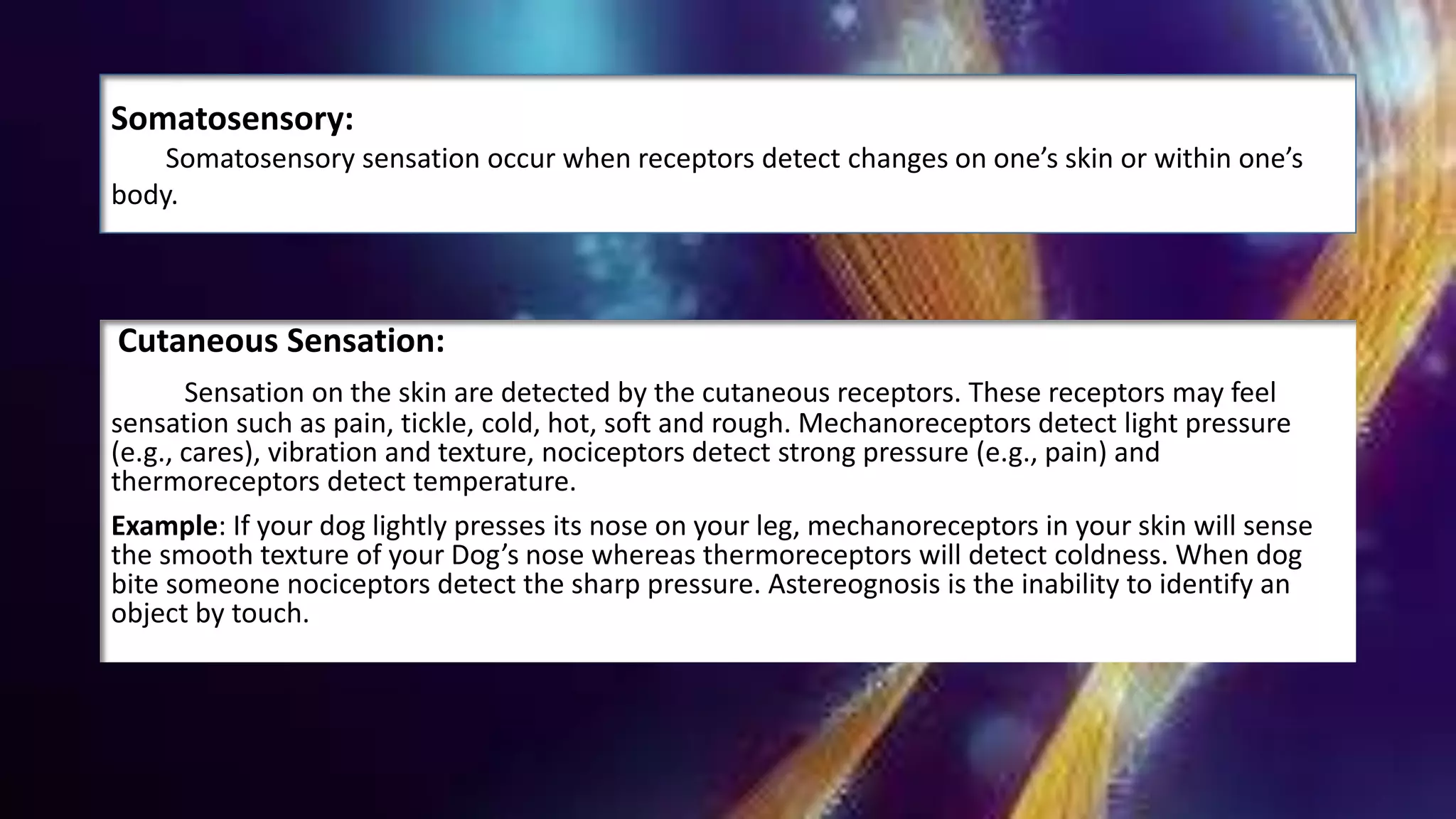 Cutaneous Sensation:
Sensation on the skin are detected by the cutaneous receptors. These receptors may feel
sensation such as pain, tickle, cold, hot, soft and rough. Mechanoreceptors detect light pressure
(e.g., cares), vibration and texture, nociceptors detect strong pressure (e.g., pain) and
thermoreceptors detect temperature.
Example: If your dog lightly presses its nose on your leg, mechanoreceptors in your skin will sense
the smooth texture of your Dog’s nose whereas thermoreceptors will detect coldness. When dog
bite someone nociceptors detect the sharp pressure. Astereognosis is the inability to identify an
object by touch.
Somatosensory:
Somatosensory sensation occur when receptors detect changes on one’s skin or within one’s
body.
 