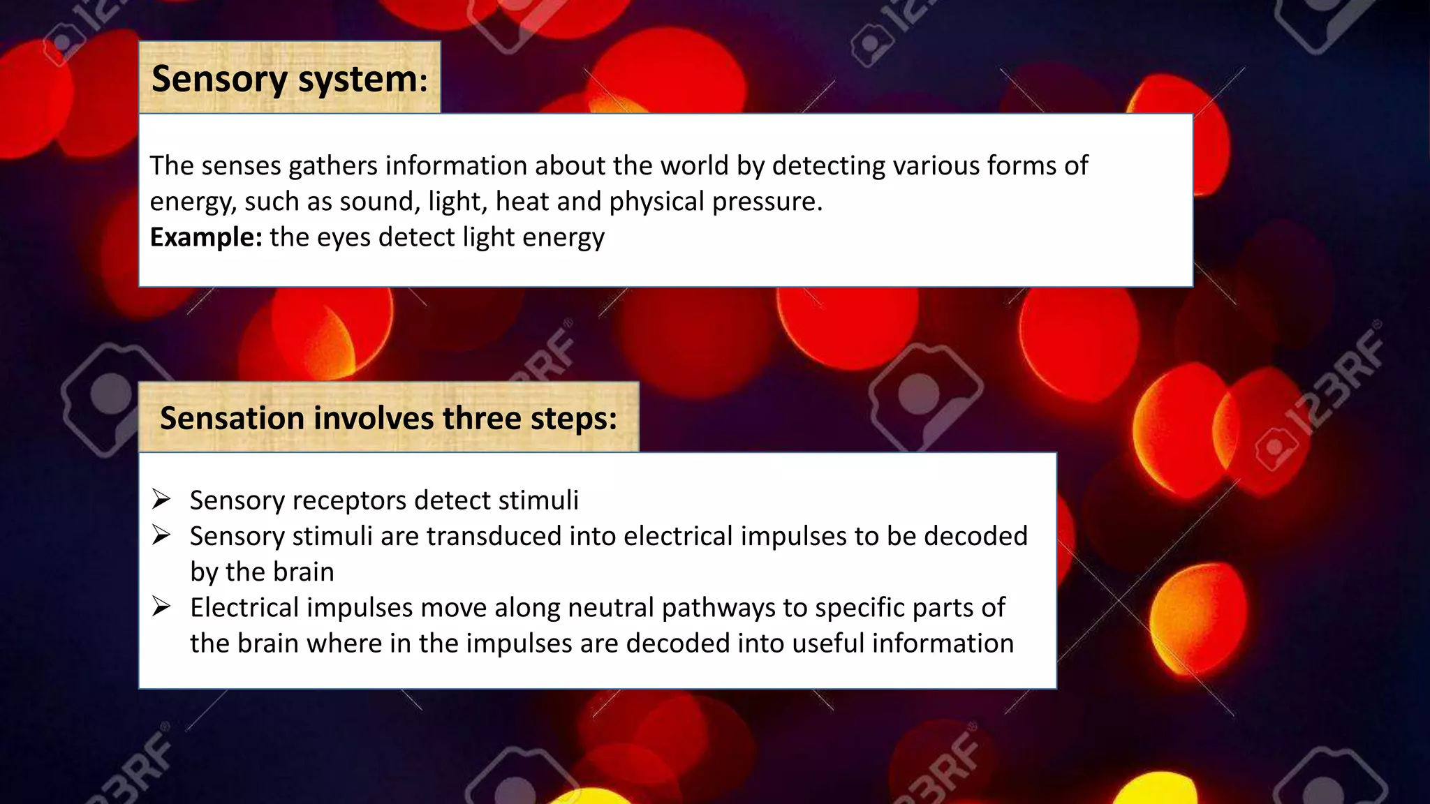 Sensation involves three steps:
 Sensory receptors detect stimuli
 Sensory stimuli are transduced into electrical impulses to be decoded
by the brain
 Electrical impulses move along neutral pathways to specific parts of
the brain where in the impulses are decoded into useful information
Sensory system:
The senses gathers information about the world by detecting various forms of
energy, such as sound, light, heat and physical pressure.
Example: the eyes detect light energy
 
